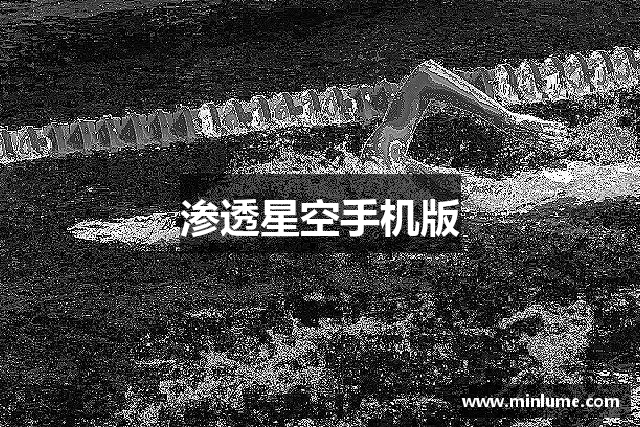 渗透星空手机版